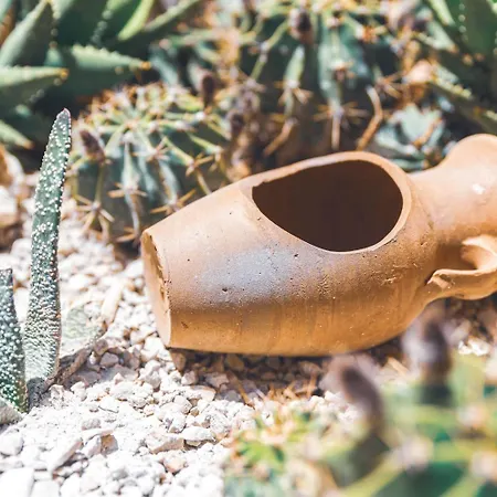 Casa De La Sera Konukevi